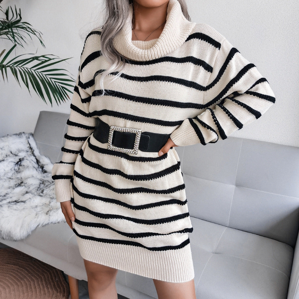 Grazia Sweater Dress | Turtleneck dress with stripe design 3