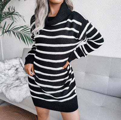 Grazia Sweater Dress | Turtleneck dress with stripe design 4